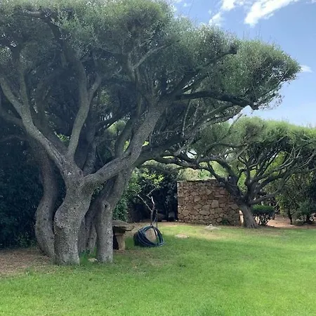 La Casa Degli Ulivi