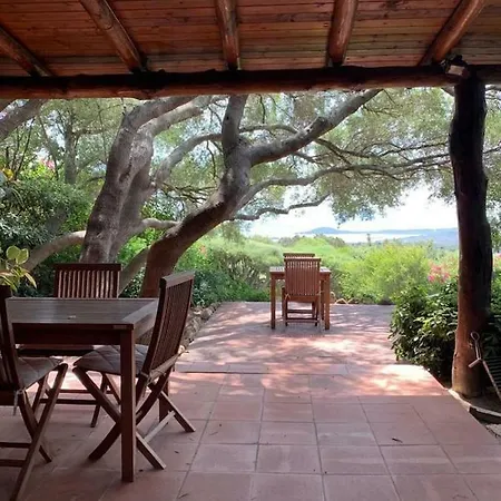 La Casa Degli Ulivi