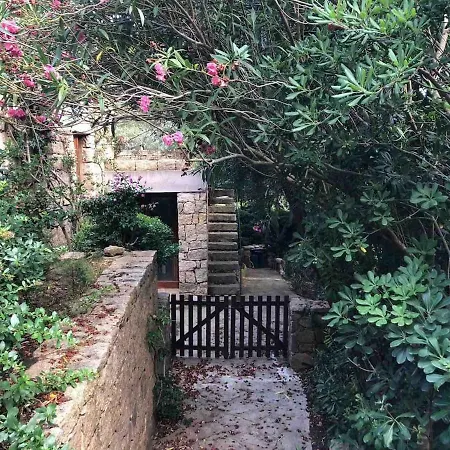 La Casa Degli Ulivi Dom wakacyjny *