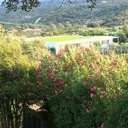 La Casa Degli Ulivi