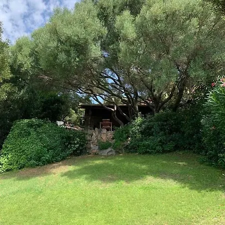 La Casa Degli Ulivi * Arzachena