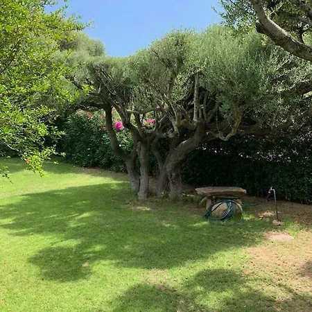 La Casa Degli Ulivi Dom wakacyjny Arzachena